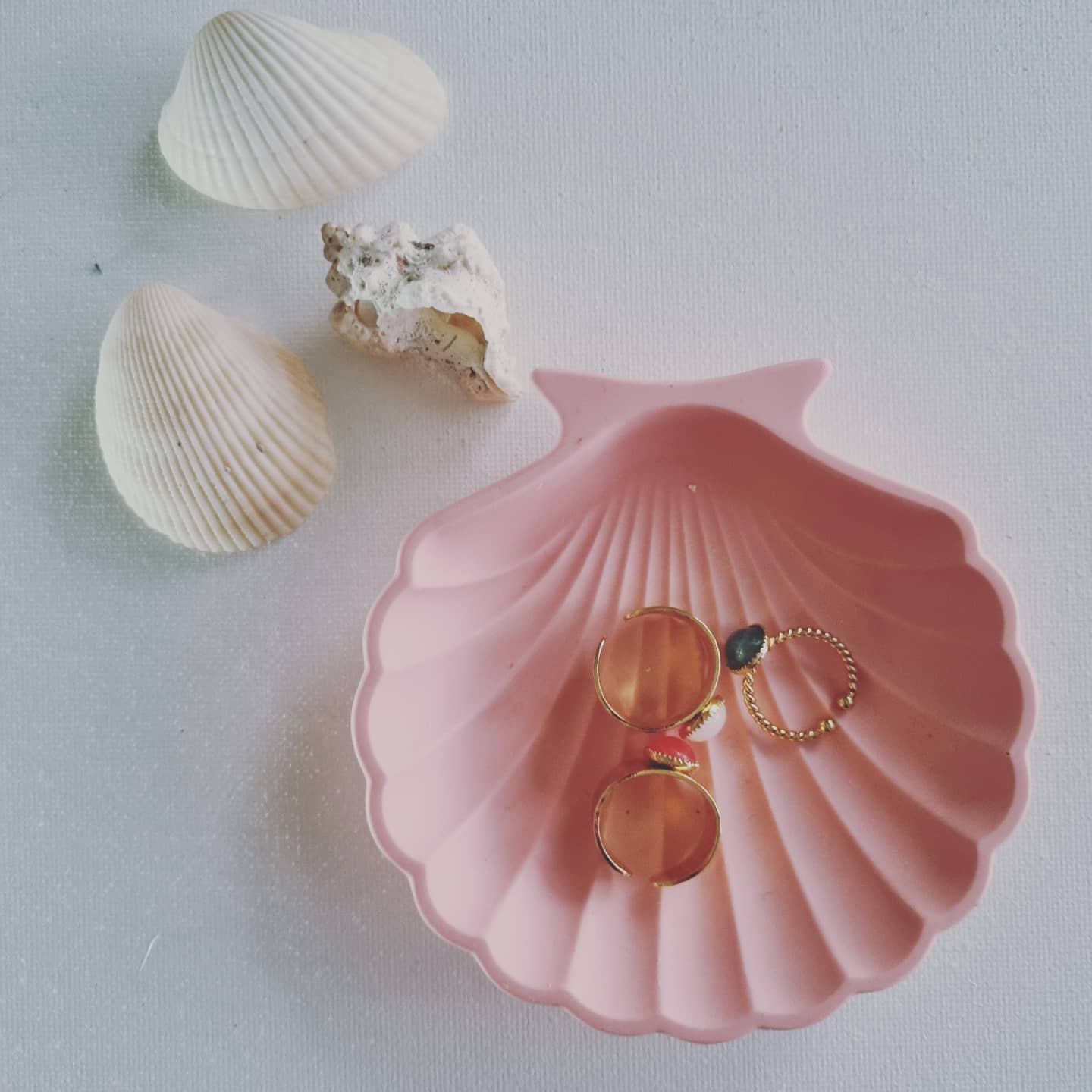 Vide poche COQUILLAGE en Jesmonite